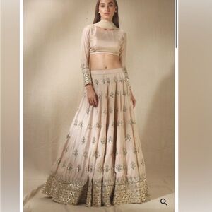 NWOT Ashta Narang Lehengha/Lengha